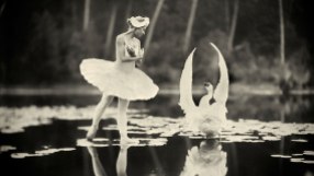 giba_artikelbild_timmermans_swan-lake